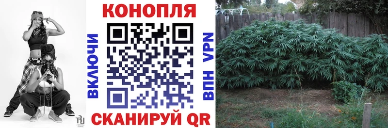 МАРИХУАНА планчик  Лабытнанги 
